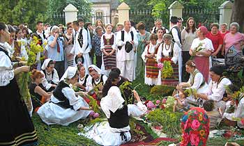 Ivanjsko cvece 2006